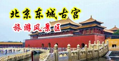 动画二次元女生被摸隐私中国北京-东城古宫旅游风景区
